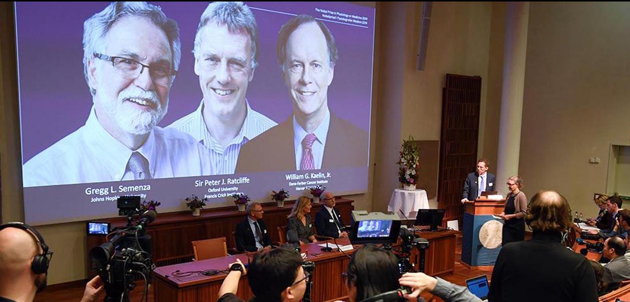 Anúncio dos ganhadores do Nobel de Medicina
