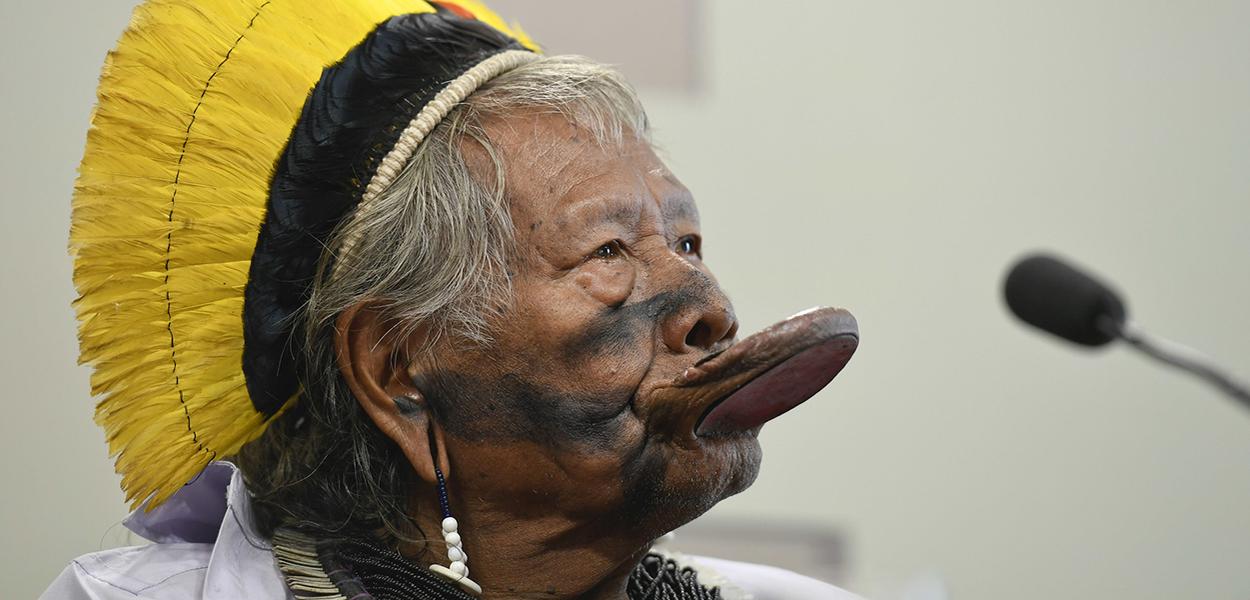 Raoni Metuktiree