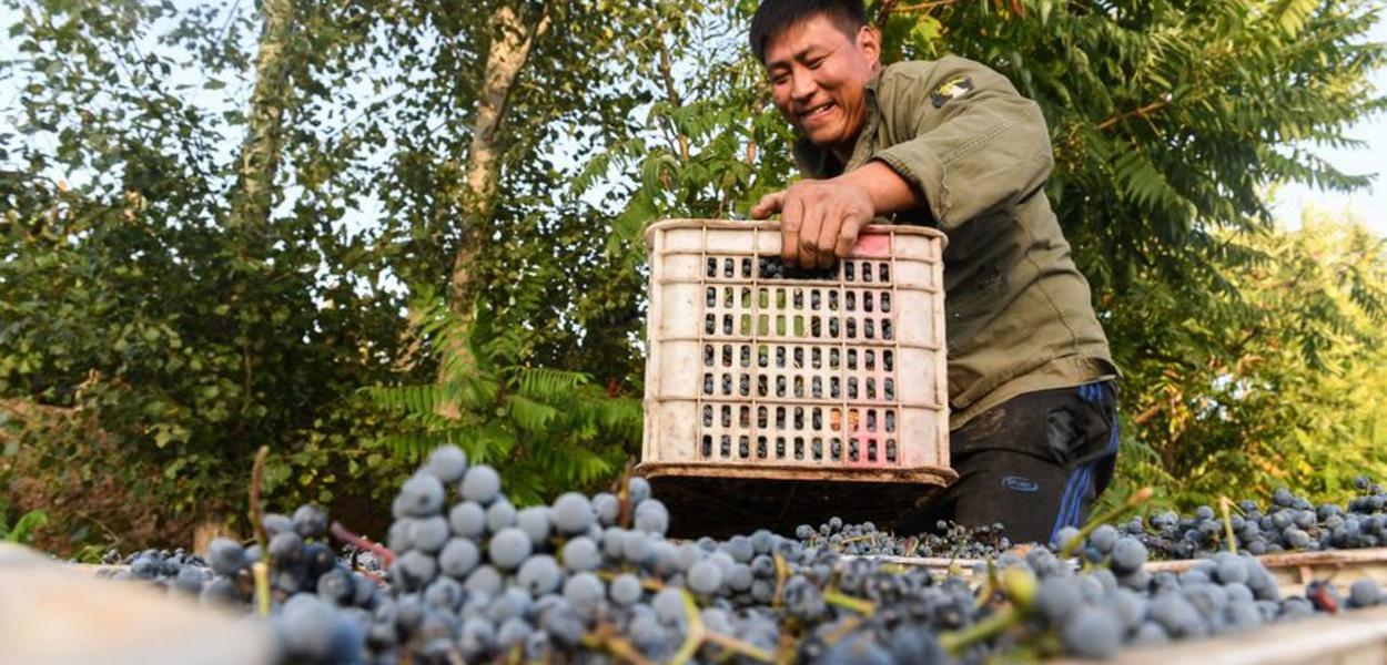 China, luta contra a pobreza