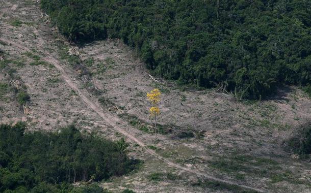 Desmatamento na Amazônia