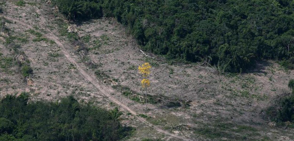 Desmatamento na Amazônia