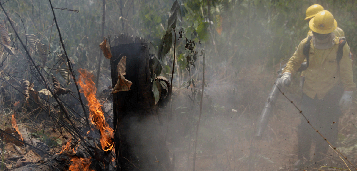 Região amazônica é tomada por incêndios