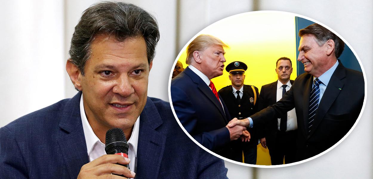 Fernando Haddad, Donald Trump e Jair Bolsonaro