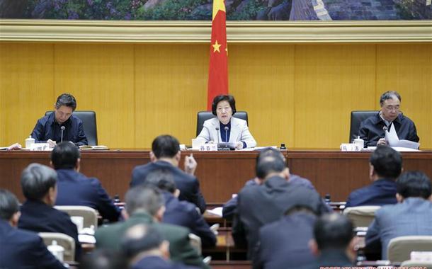 Vice primeira-ministra da China fala sobre o novo coronavírus