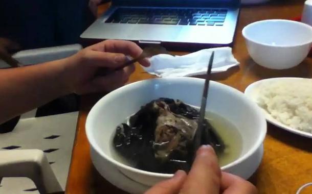 Sopa de morcego