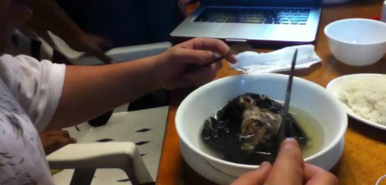 Sopa de morcego