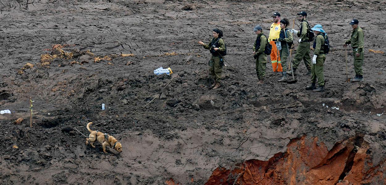 Tragédia de Brumadinho