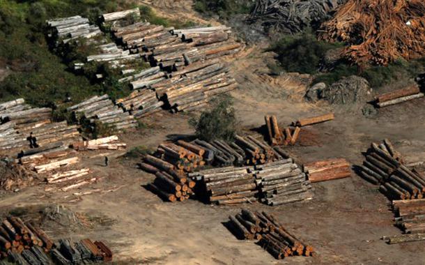 Toras de madeira vistas durante operação do Ibama de combate ao desmatamento ilegal em Apuí, no Amazonas