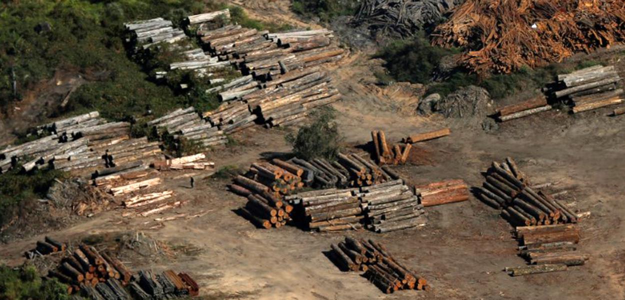 Toras de madeira vistas durante operação do Ibama de combate ao desmatamento ilegal em Apuí, no Amazonas