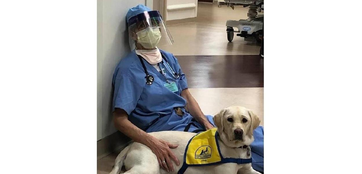 Profissional da saúde com cão terapueta