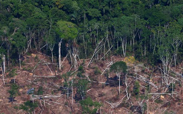 Área desmatada da floresta amazônica em Novo Progresso, no Pará