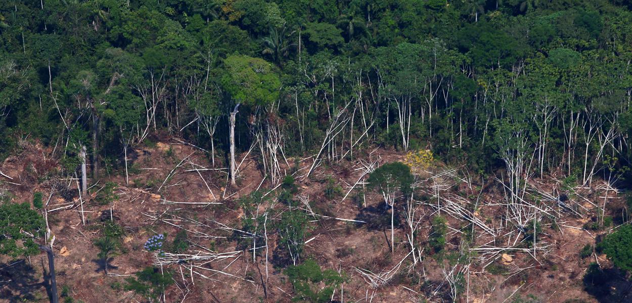 Área desmatada da floresta amazônica em Novo Progresso, no Pará