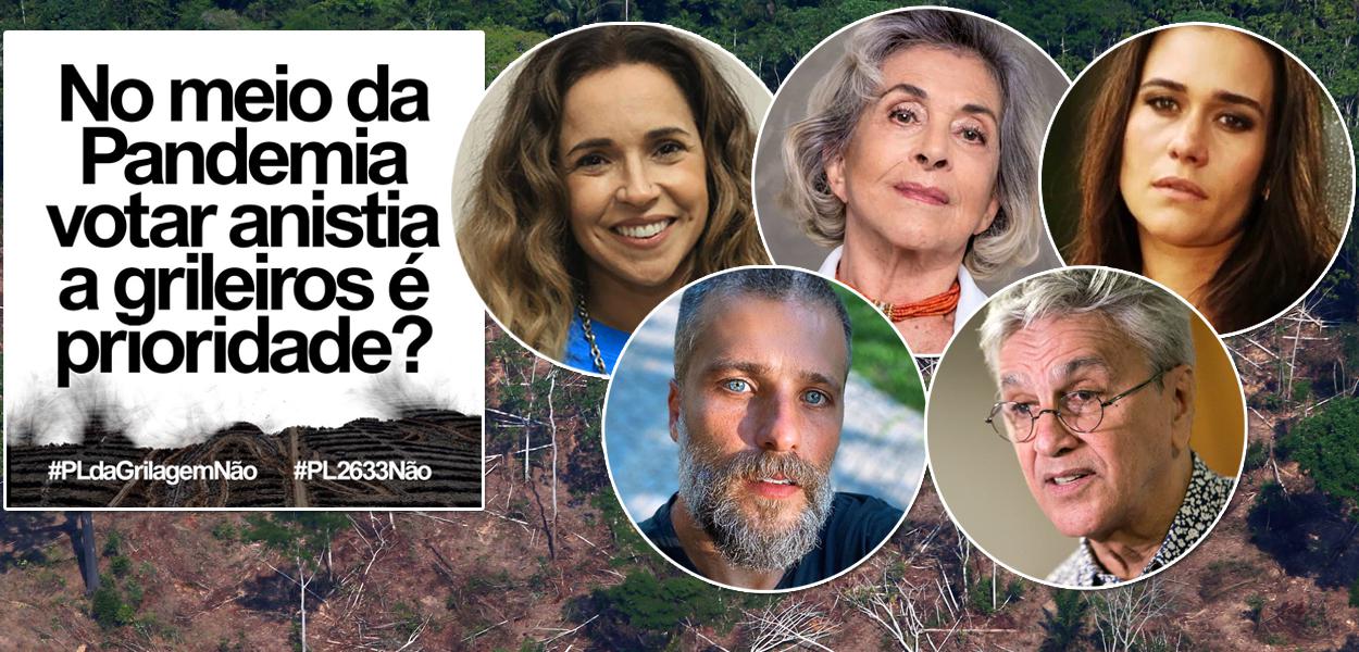 Artistas lançam campanha contra anistia a grileiros na Amazônia