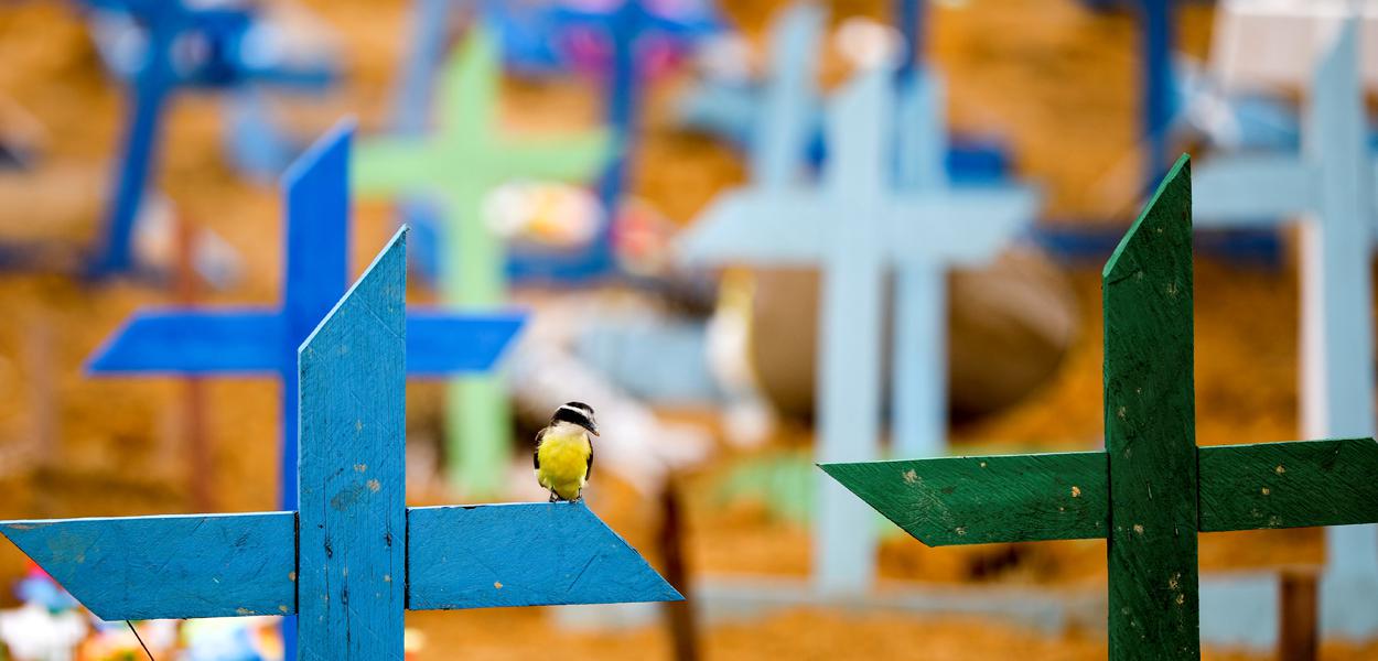Cemitério em Manaus 13/05/2020