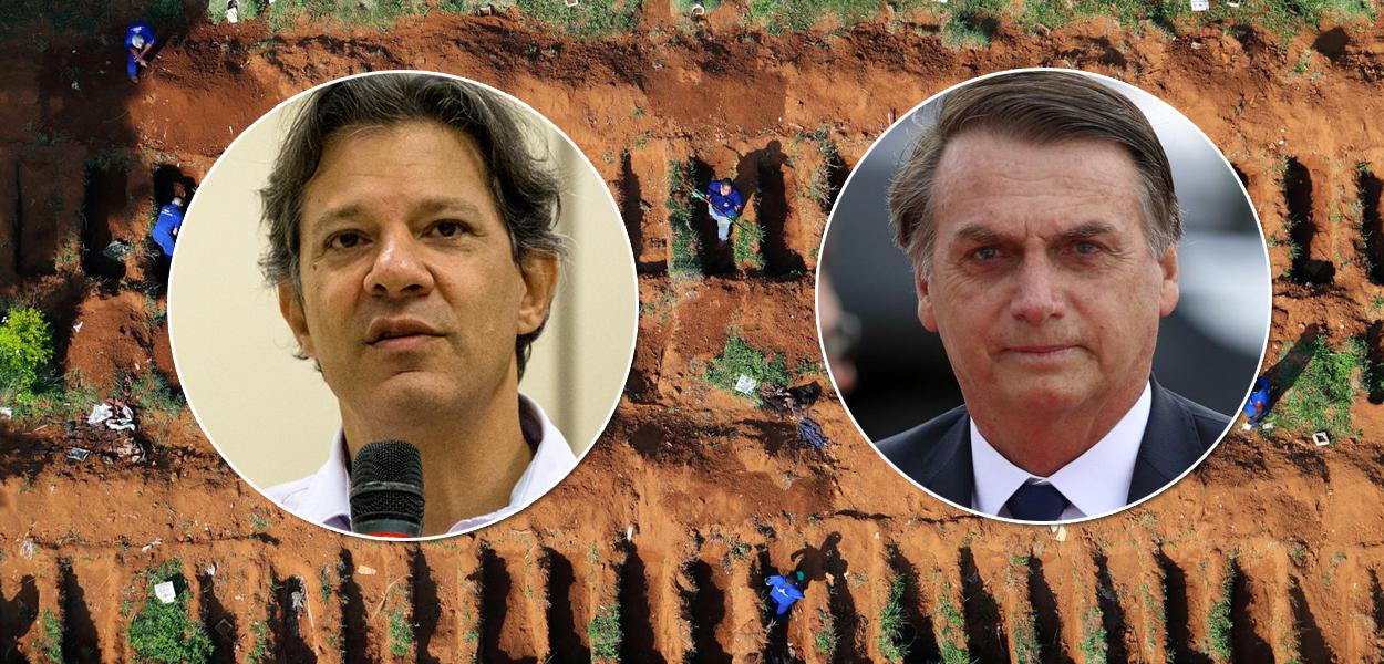 Fernando Haddad e Jair Bolsonaro