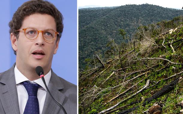 Ricardo Salles e desmatamento da Mata Atlântica