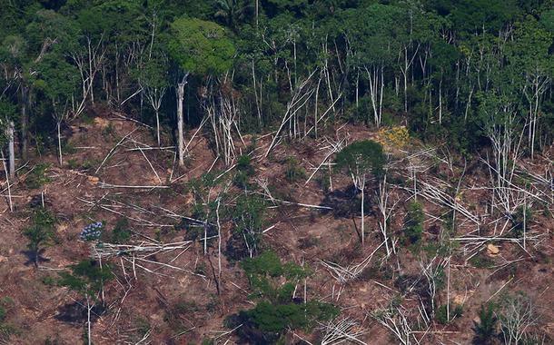 Floresta amazônica, perto de Novo Progresso, Pará