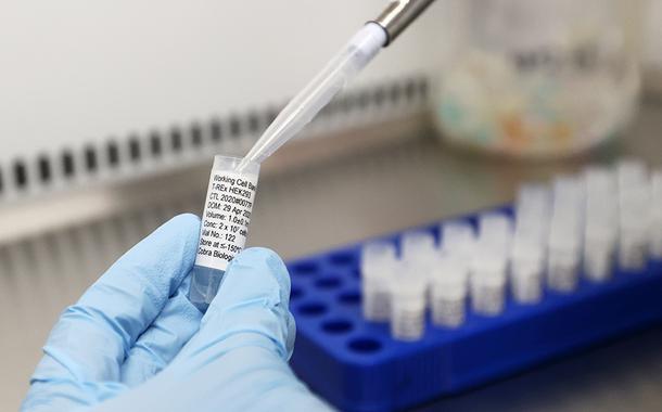 Cientistas do Reino Unido trabalham em potencial vacina para Covid-19 30/04/2020