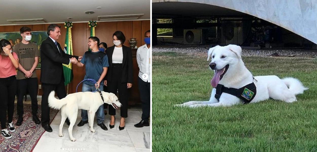 Jair Bolsonaro, Michelle Bolsonaro e o cão apelidado de "Augusto Bolsonaro"