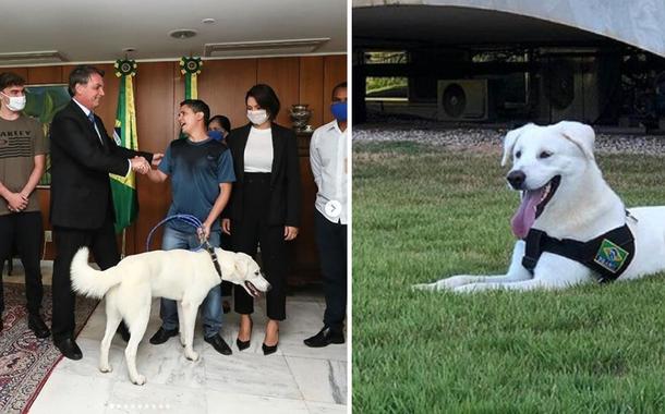 Jair Bolsonaro, Michelle Bolsonaro e o cão apelidado de "Augusto Bolsonaro"