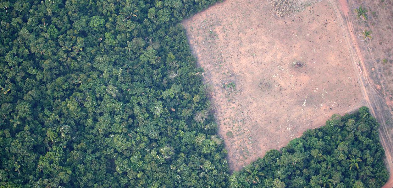 Vista de área desmatada da floresta amazômica perto de Porto Velho 21/08/2019