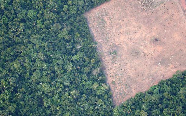 Vista de área desmatada da floresta amazônica perto de Porto Velho