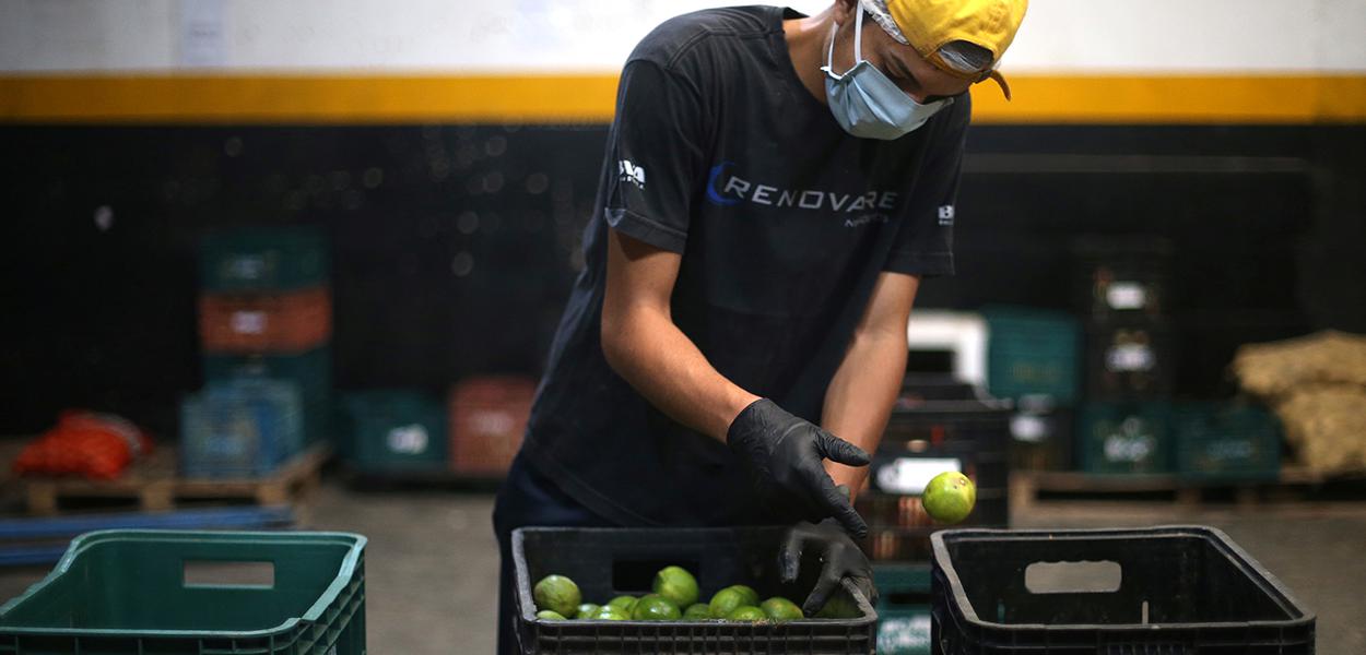 Trabalhador de cooperativa do município de Piedade prepara distribuição de itens vendidos por meio de aplicativo em meio ao surto de Covid-19, São Paulo