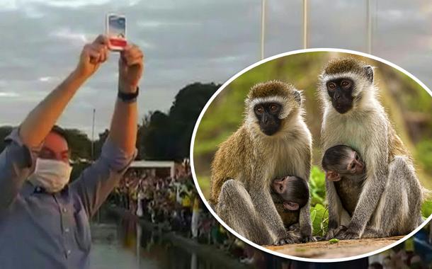 Bolsonaro mostrando caixa de cloroquina e macacos verdes da África