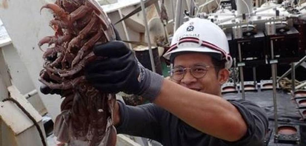 Nova espécie de barata gigante do mar é encontrada