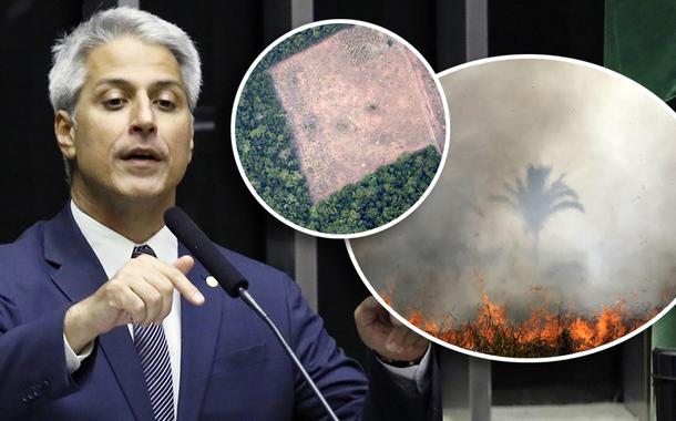 Alessandro Molon e queimadas na Amazônia