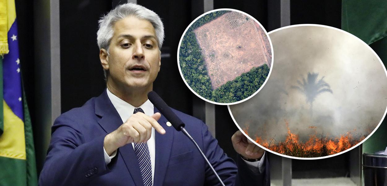 Alessandro Molon e queimadas na Amazônia