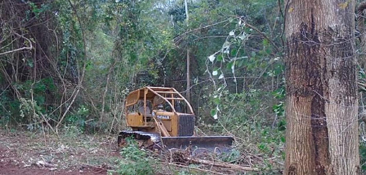 Explode venda de tratores para desmatamento