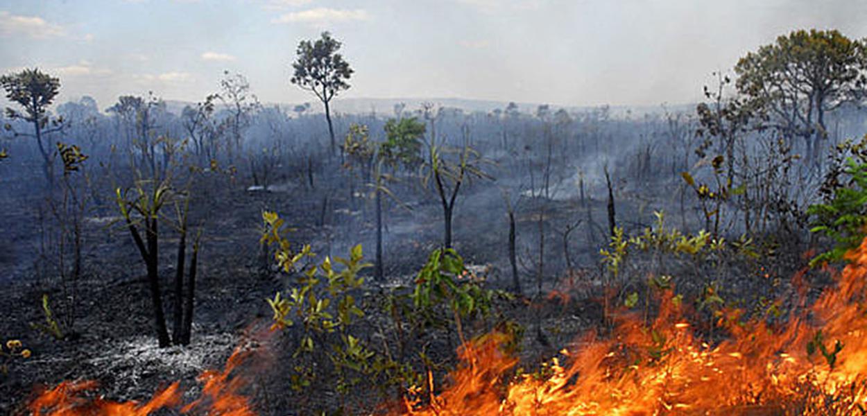 Aumenta desmatamento no Cerrado