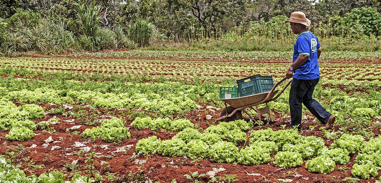 Governo Bolsonaro suspende financiamento para agricultura familiar