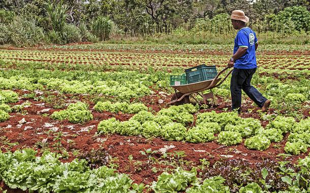 Governo Bolsonaro suspende financiamento para agricultura familiar