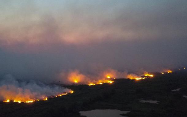 Incêndio no Pantanal