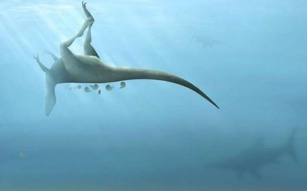 Montagem virtual do Vectaerovenator inopinatus