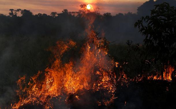 Queimadas no Amazonas