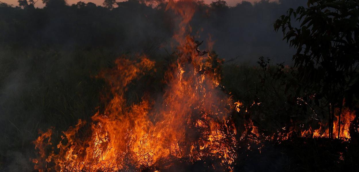 Queimadas aumentam no Amazonas