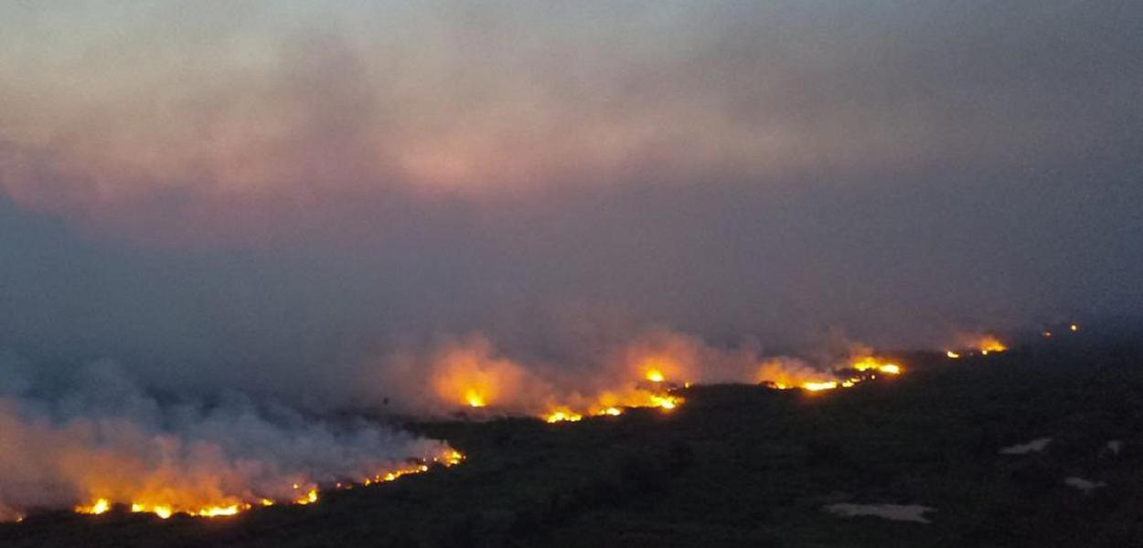 Incêndio no Pantanal