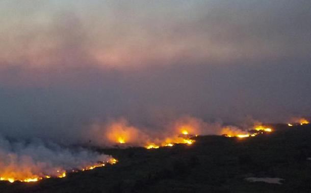 Incêndio no Pantanal