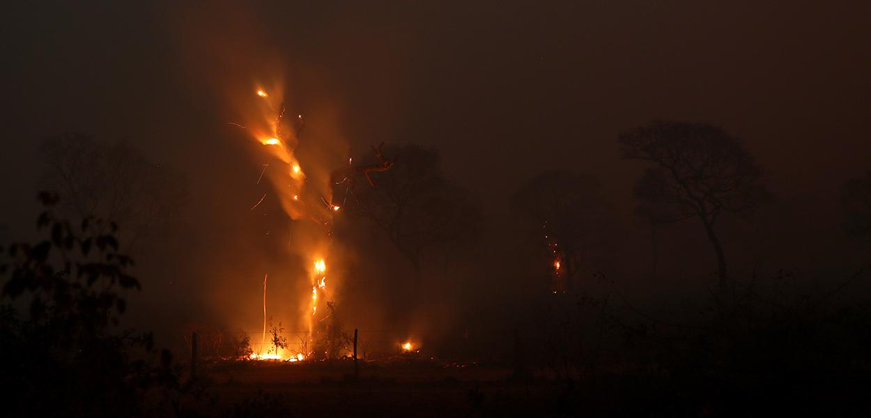 Incêndios atingem Patanal 29/08/2020