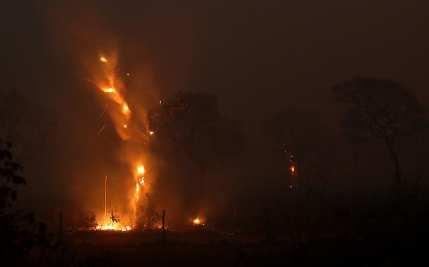 Incêndios atingem Patanal 29/08/2020