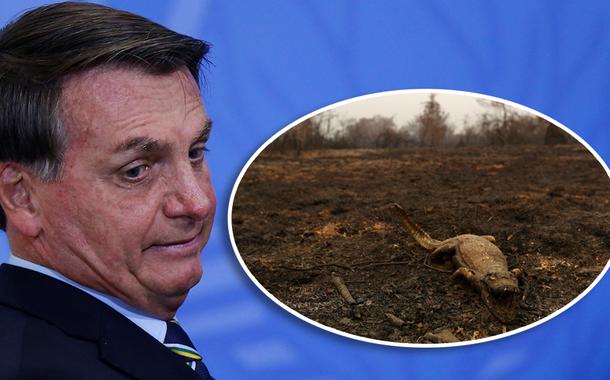 Bolsonaro e jacaré queimado no Pantanal