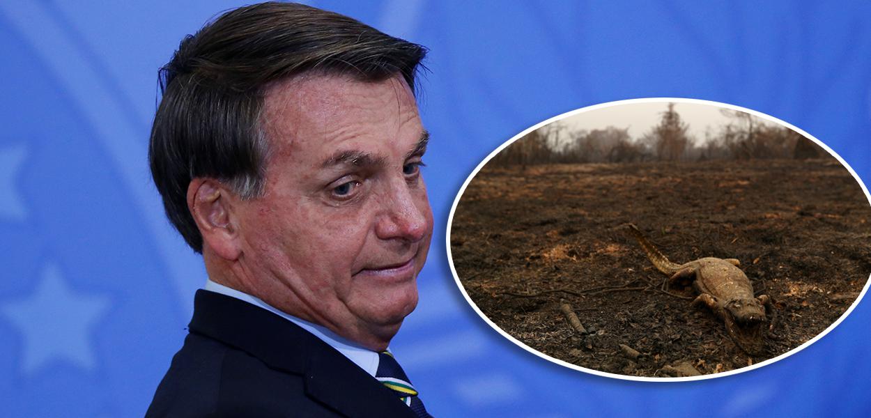 Bolsonaro e jacaré queimado no Pantanal