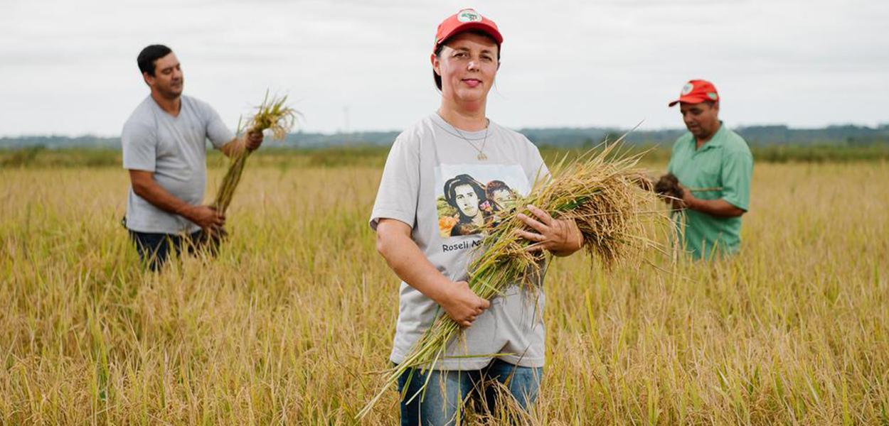 Assentados do MST sob risco de despejo produzem frutas, hortaliças e feijão. Tudo sem agrotóxico