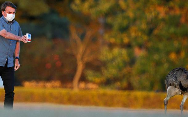 Bolsonaro corre atrás de ema com cloroquina