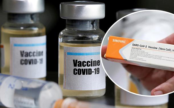 Estudo pode impactar busca pela vacina