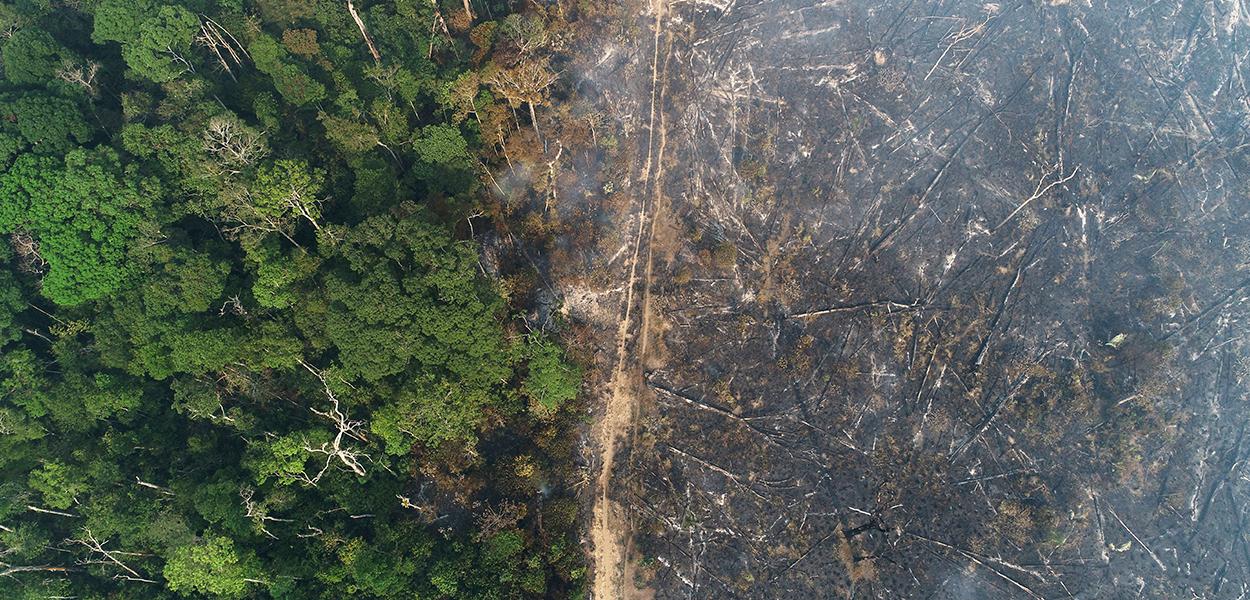 Vista aérea da Amazônia após queimadas perto de Apuí, no Amazonas