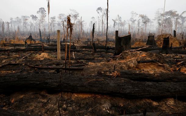 Queimadas na Amazônia